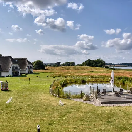 Kiebitz Im Wreecher Idyll Putbus